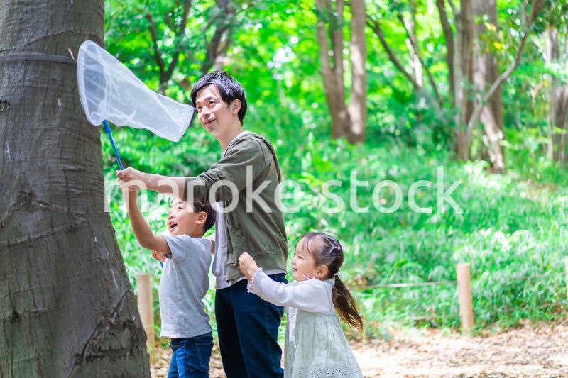 虫採りをするお父さんと子どもたち