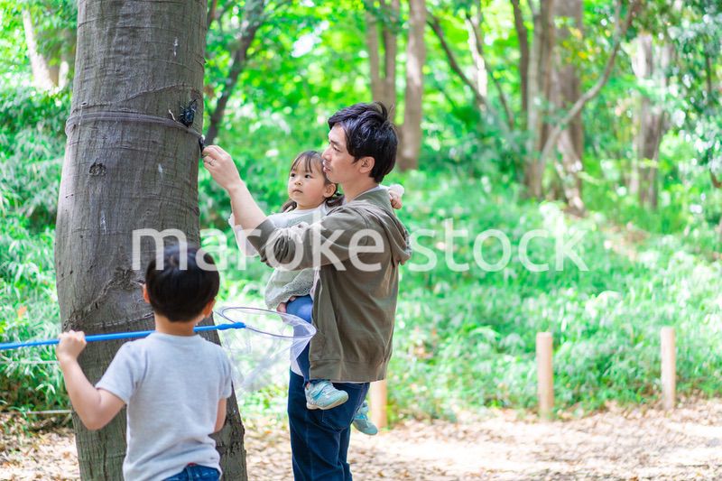 虫採りをするお父さんと子どもたち