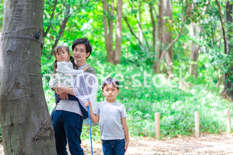 虫採りをするお父さんと子どもたち
