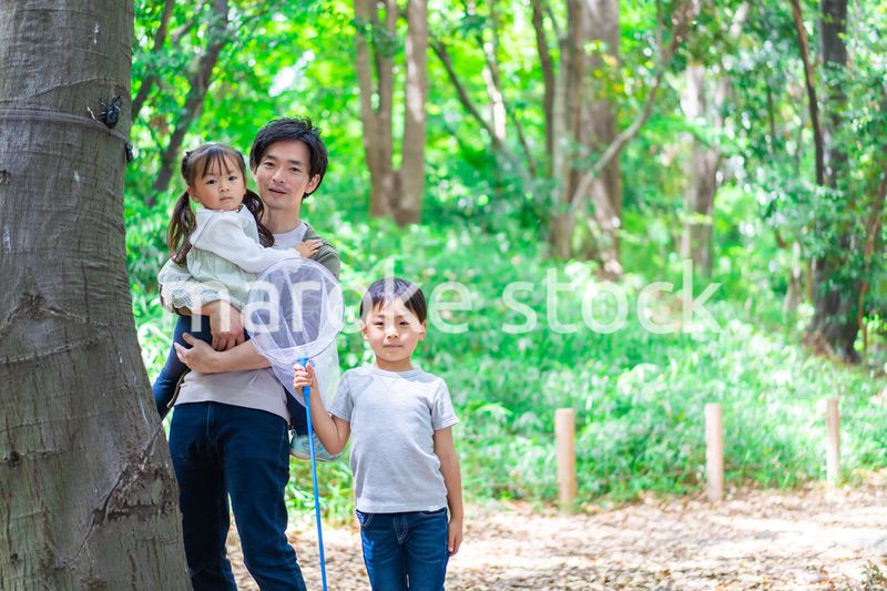 虫採りをするお父さんと子どもたち