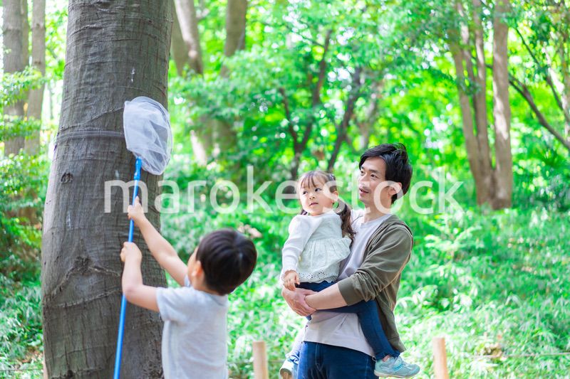 虫採りをするお父さんと子どもたち