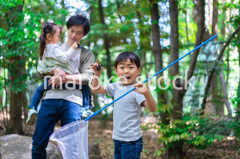虫採りをするお父さんと子どもたち
