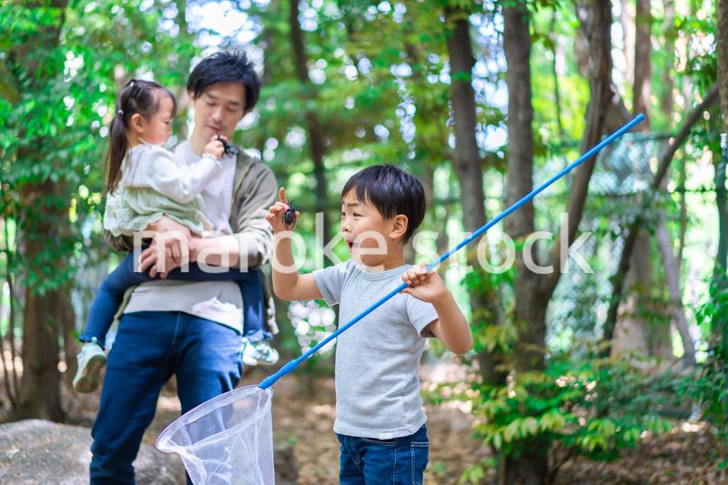 虫採りをするお父さんと子どもたち