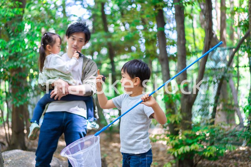 虫採りをするお父さんと子どもたち