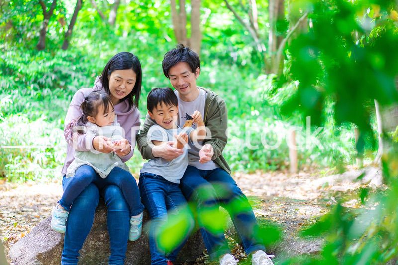 森で遊ぶ家族