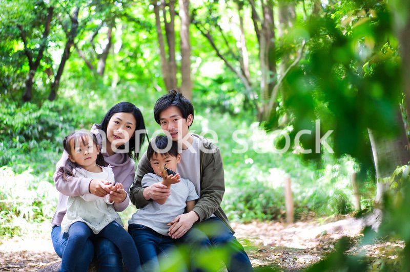 虫を観察する仲のいいファミリー