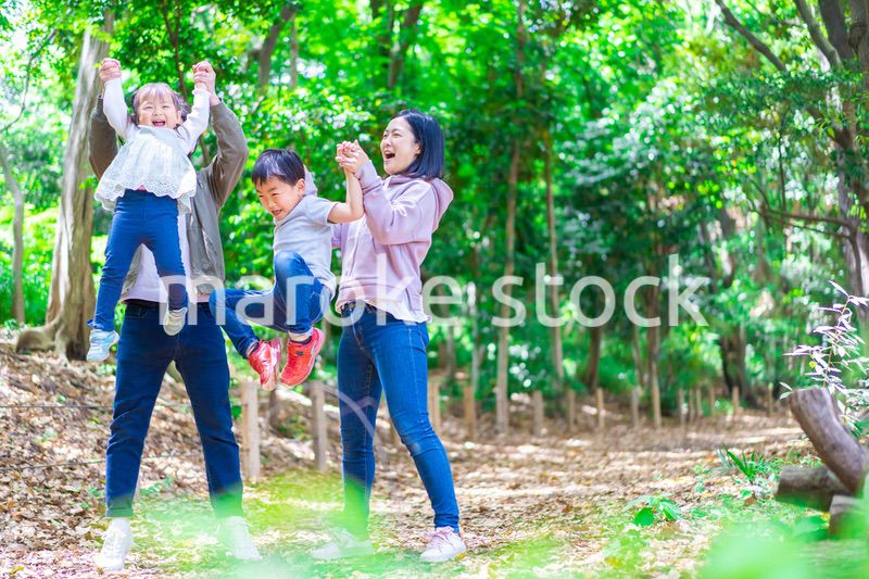 森で遊ぶ家族