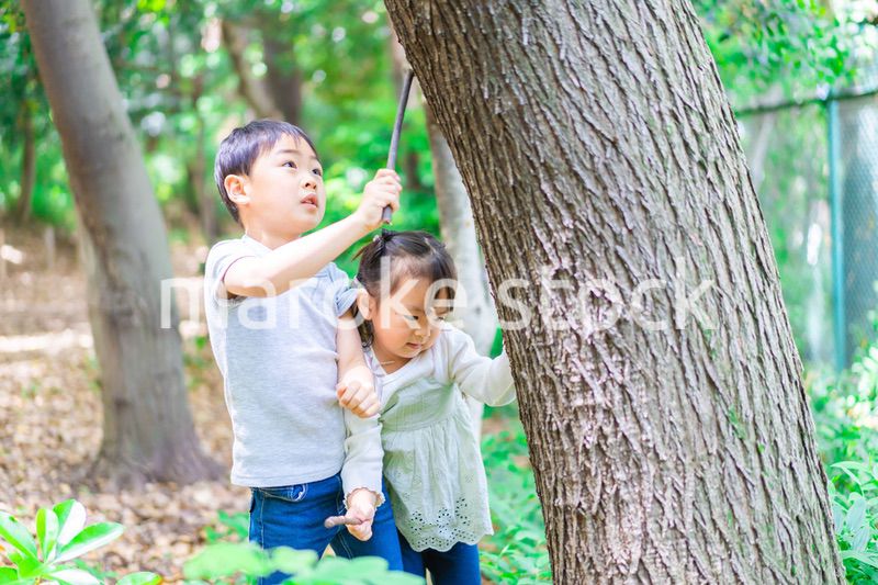 森で遊ぶ子どもたち