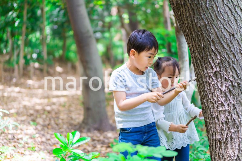 森で遊ぶ子どもたち