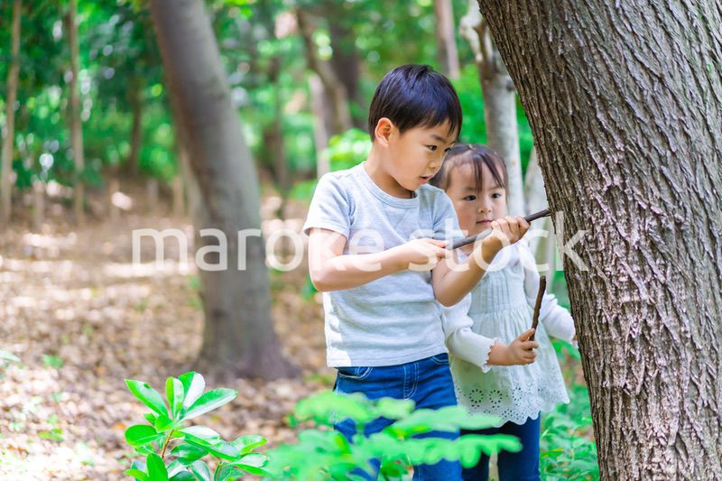 森で遊ぶ子どもたち