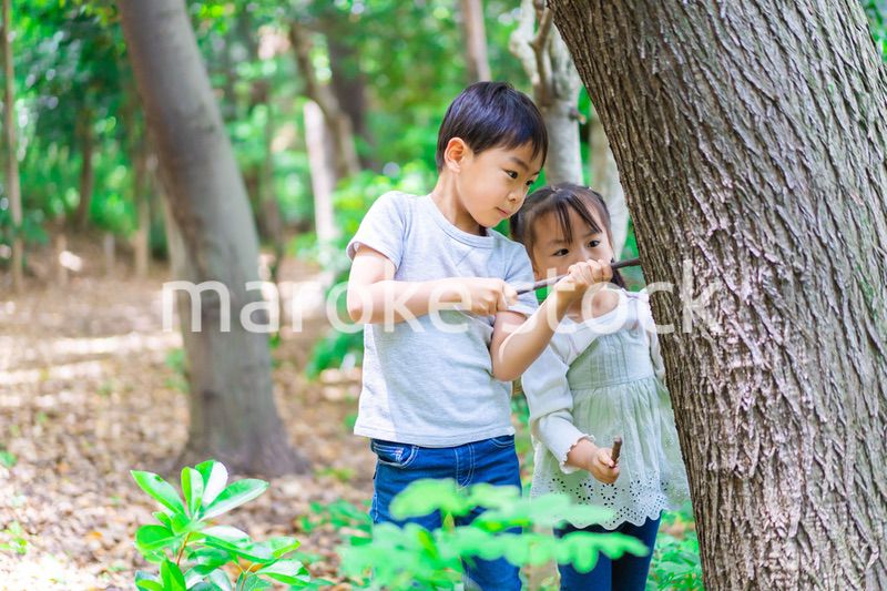 森で遊ぶ子どもたち