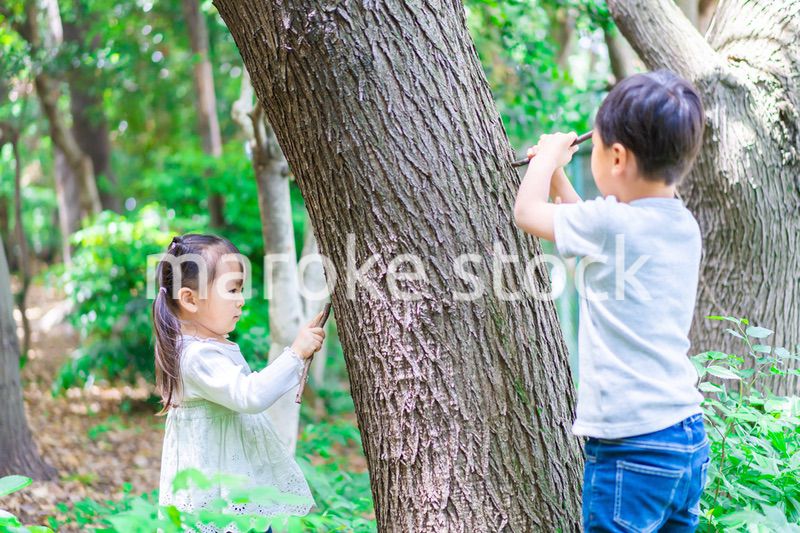 森で遊ぶ子どもたち