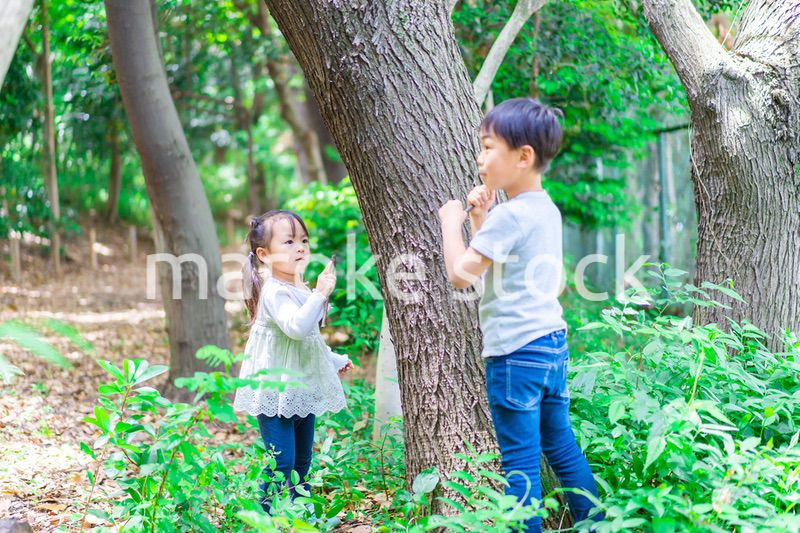 森で遊ぶ子どもたち