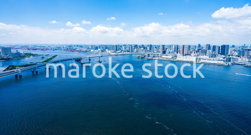 東京 都心部空撮写真