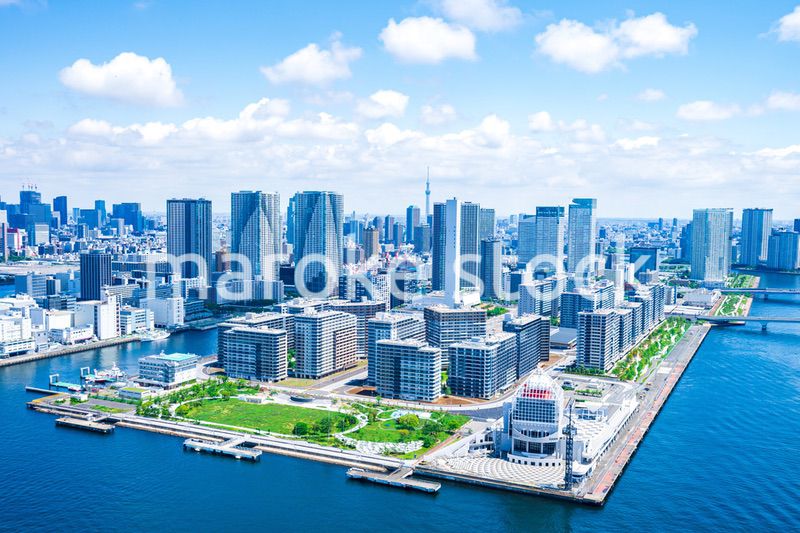 選手村・空撮写真