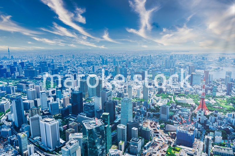 東京 都心部空撮写真