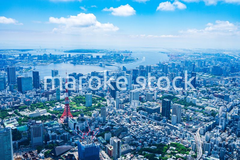 東京 都心部空撮写真