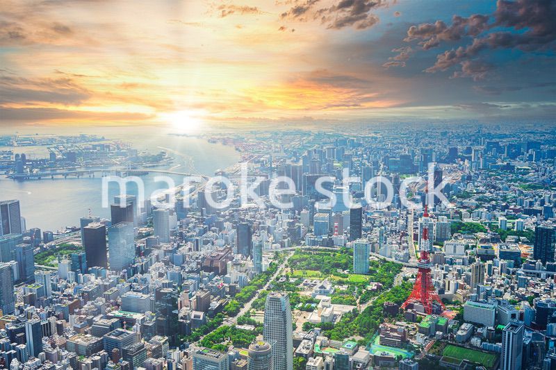 東京 都心部空撮写真