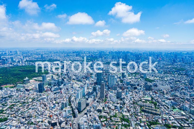 東京 都心部空撮写真