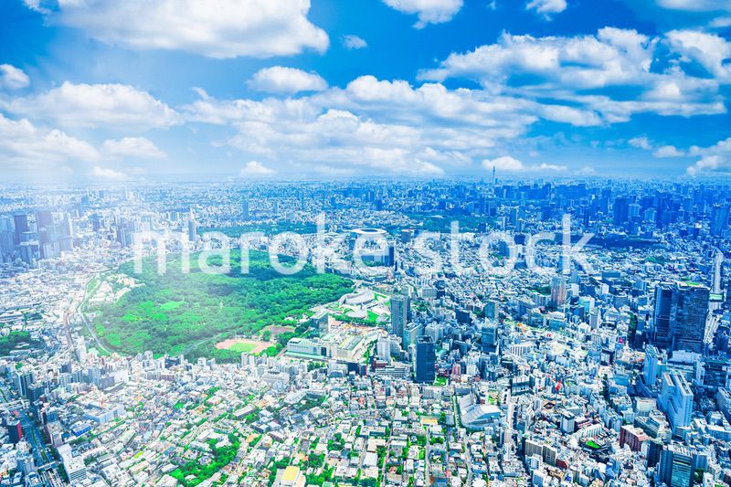 東京 Tokyo