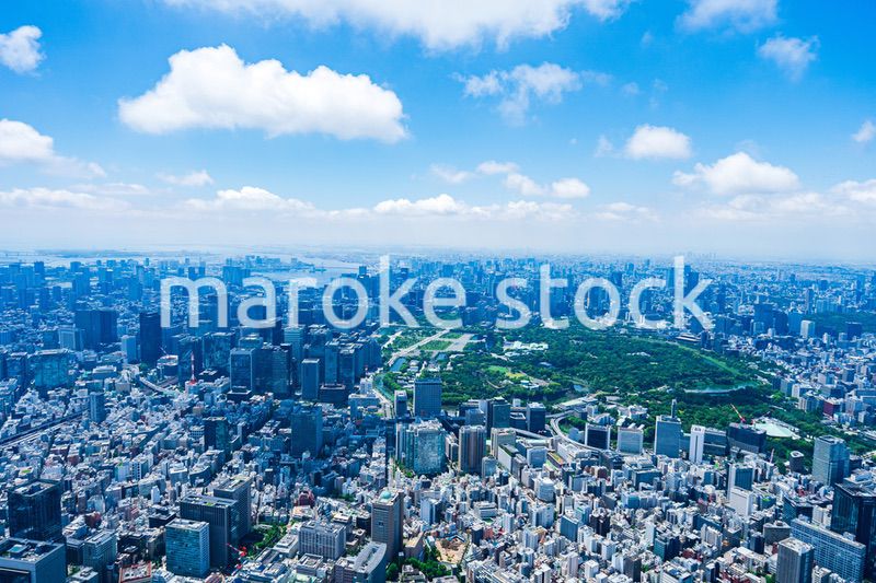 東京 都心部空撮写真