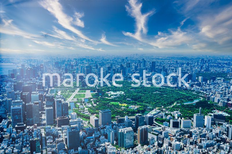 東京 都心部空撮写真