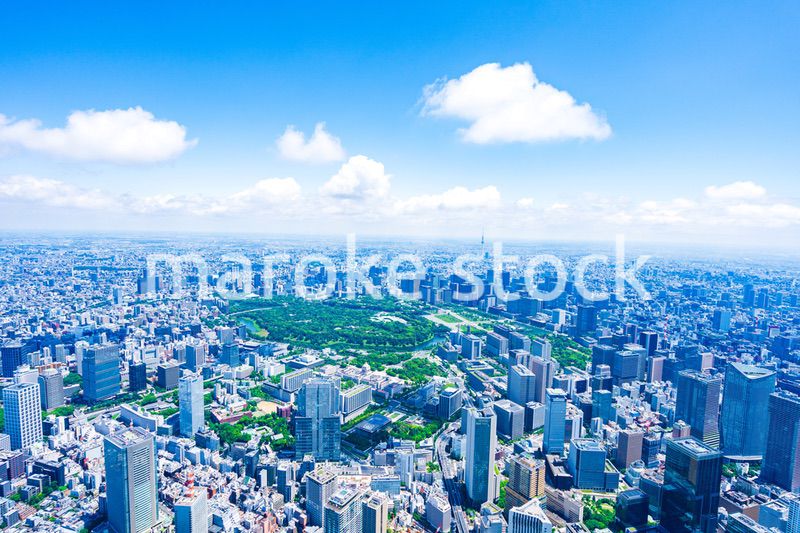東京都心部 空撮写真