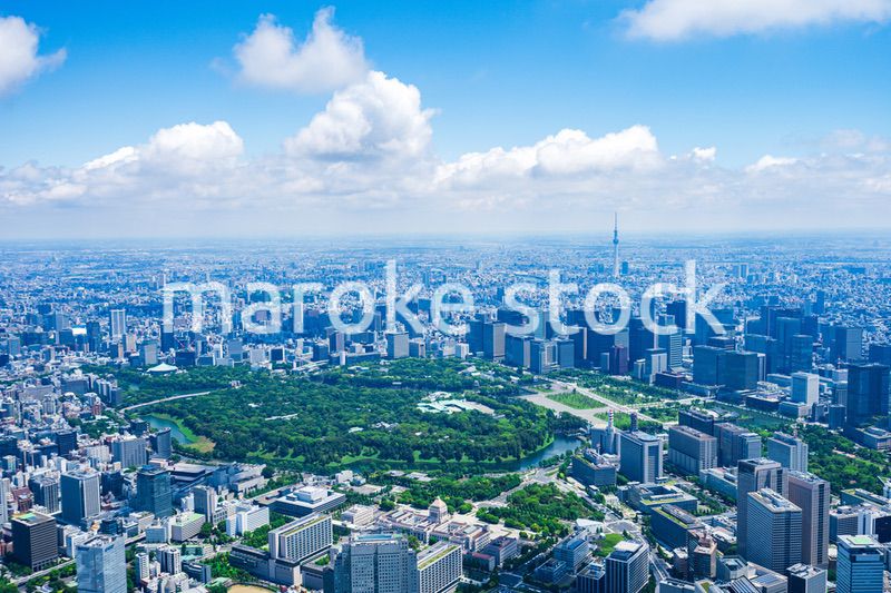 東京 都心部空撮写真