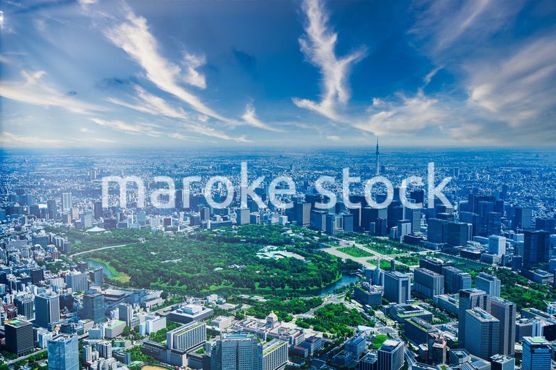 東京 都心部空撮写真