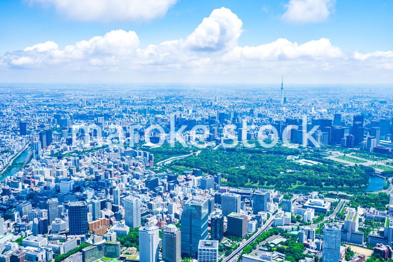 東京都心部 空撮写真