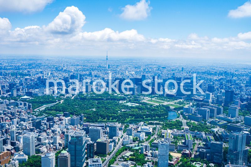 東京 都心部空撮写真