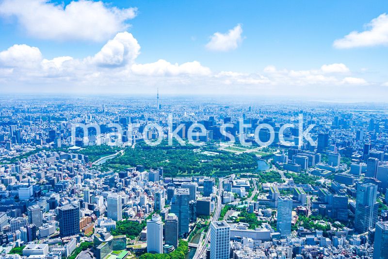 皇居空撮写真
