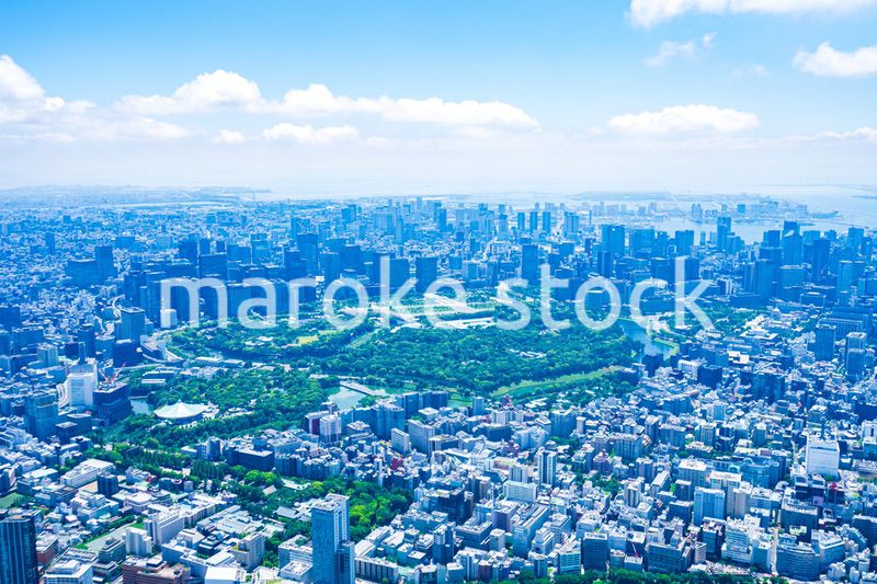 東京都心部 空撮写真