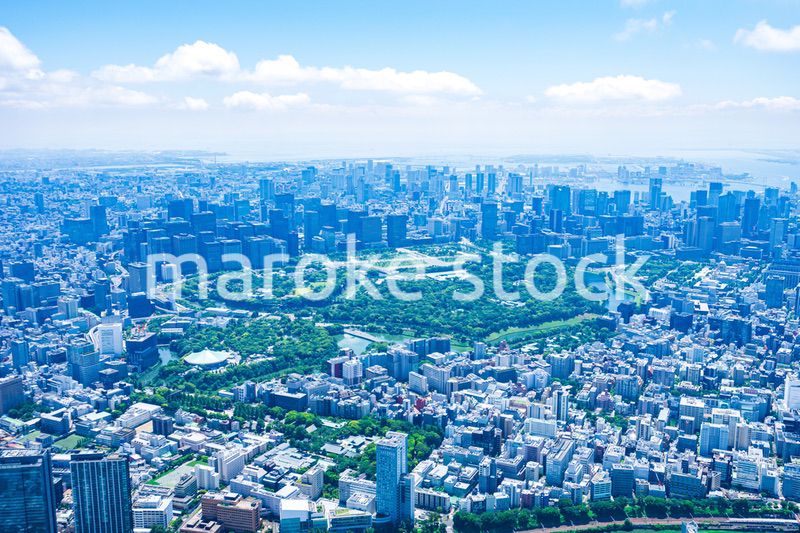 皇居空撮写真