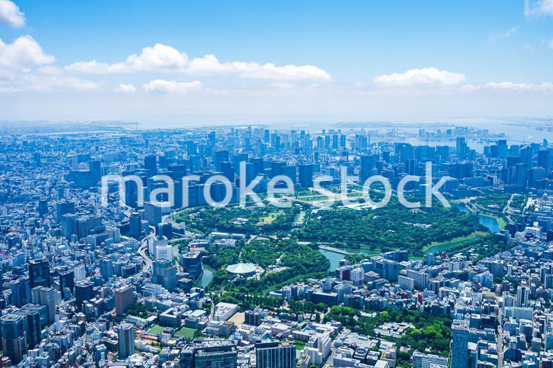 東京 都心部空撮写真