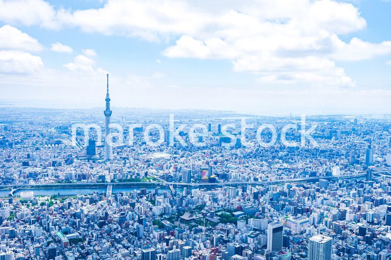 東京スカイツリー・空撮写真