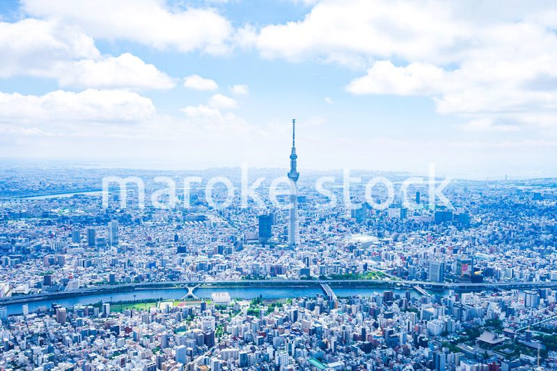 東京スカイツリー・空撮写真