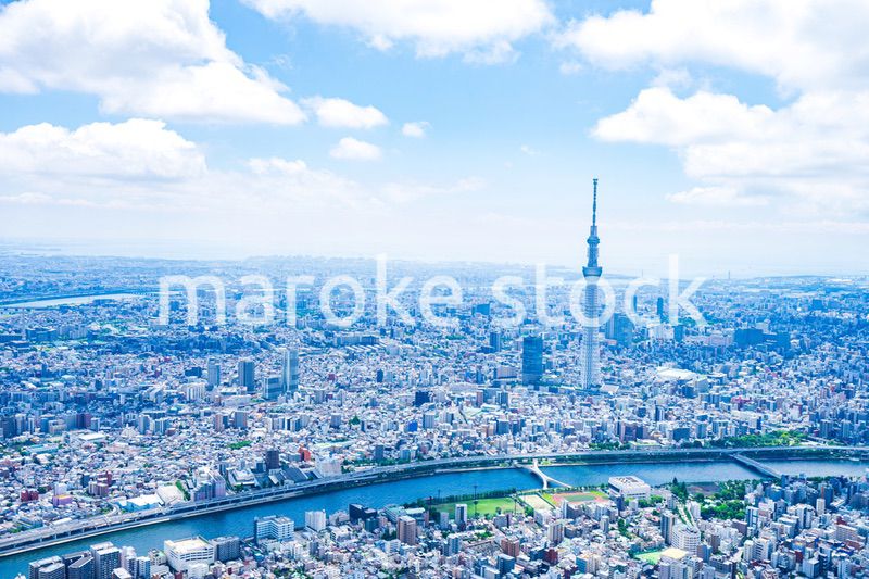 東京スカイツリー・空撮写真