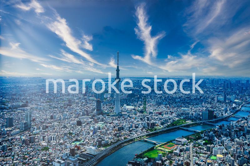 東京 都心部空撮写真