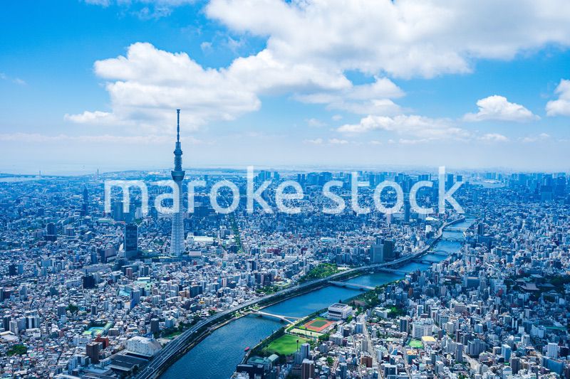 東京 都心部空撮写真