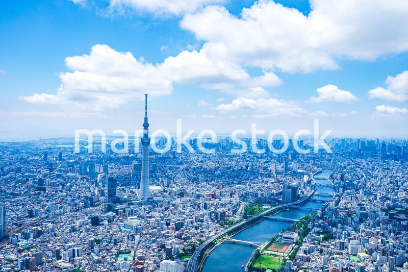 東京スカイツリー・空撮写真