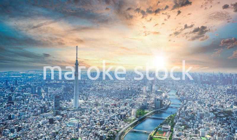 東京 都心部空撮写真