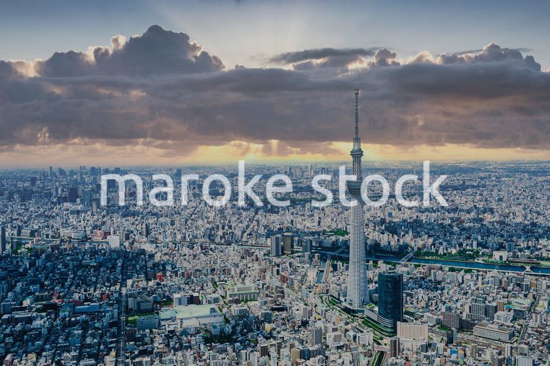 東京 都心部空撮写真