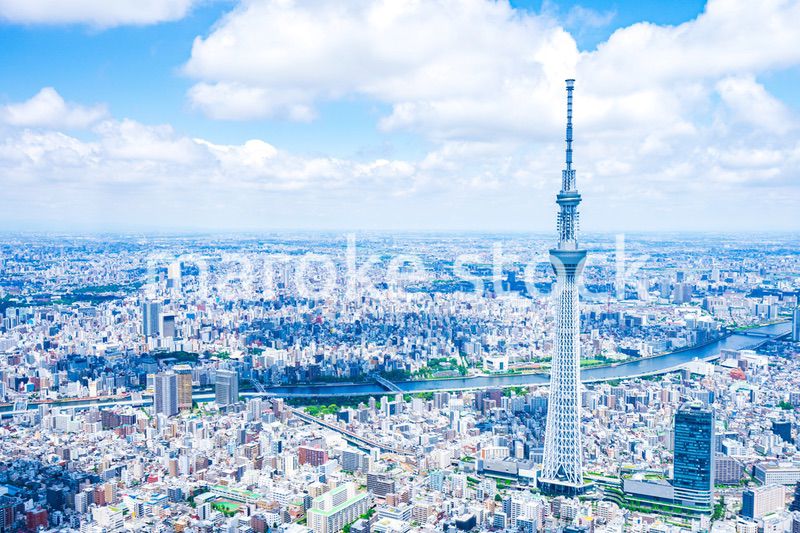 東京スカイツリー・空撮写真