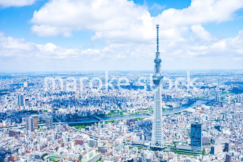 東京スカイツリー・空撮写真