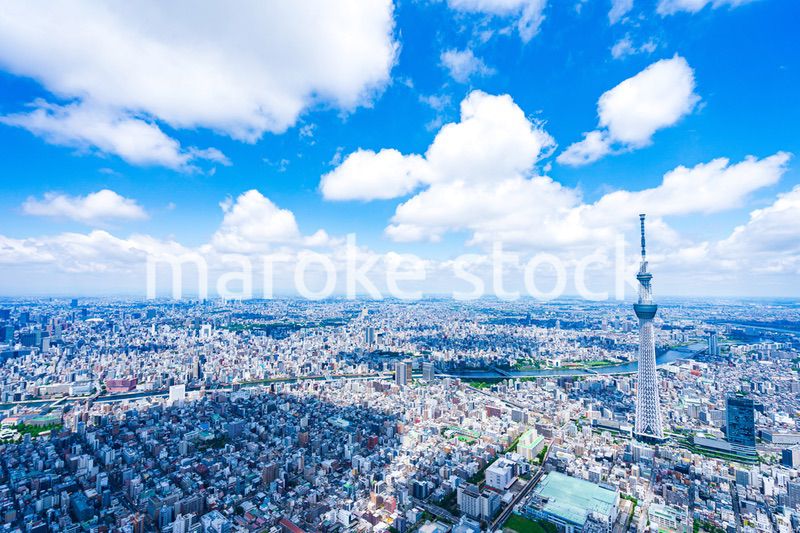 東京都心部 空撮写真