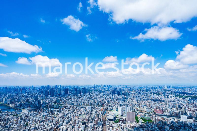 東京 都心部空撮写真